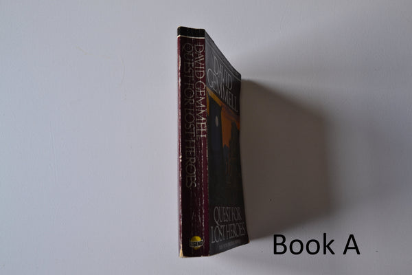 Quest for Lost Heroes - Book 4 - Drenai Novel