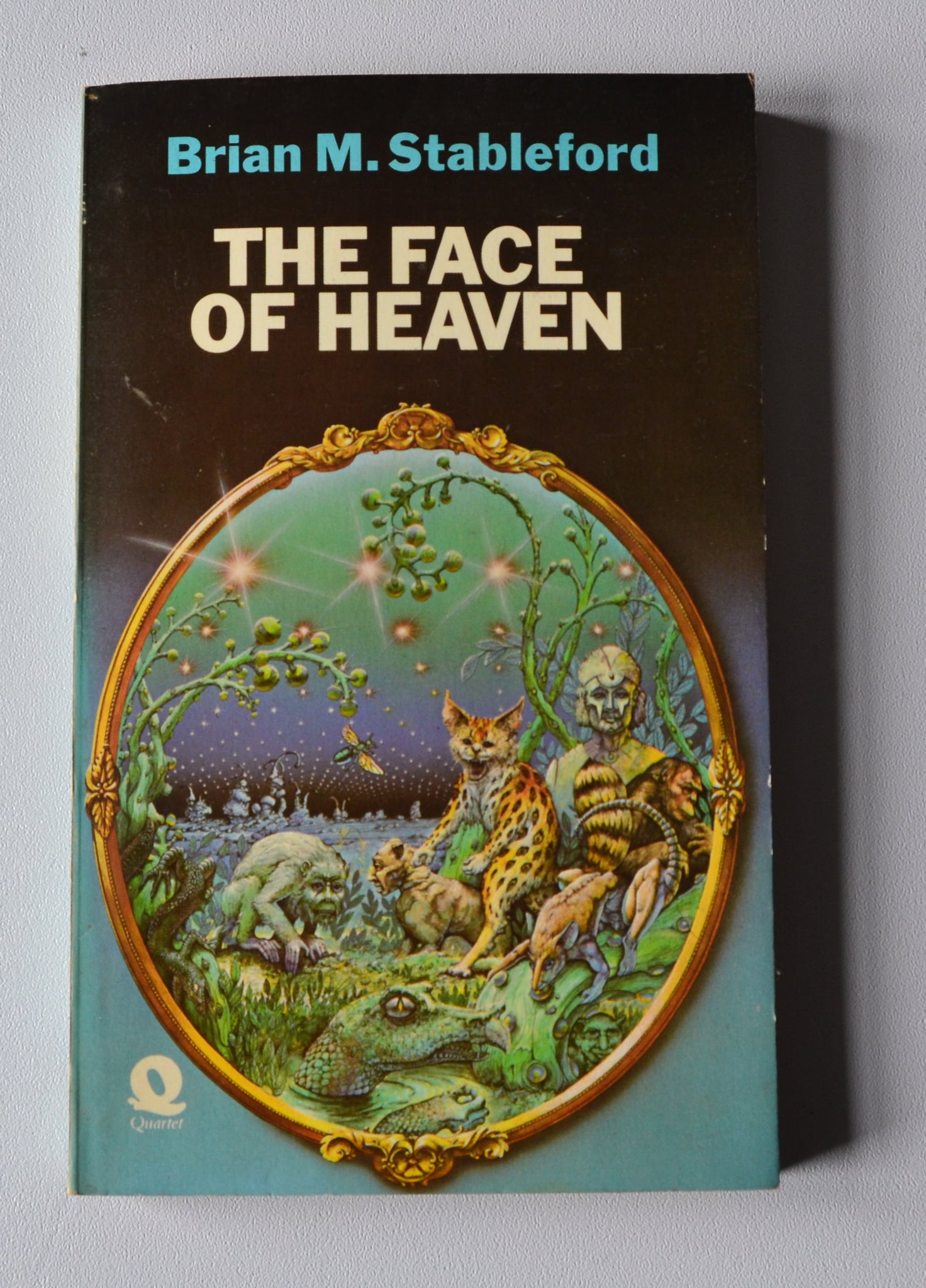 The Face of Heaven - Realms of Tartarus book 1