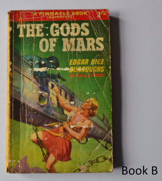 Gods of Mars - Martian Series book 2