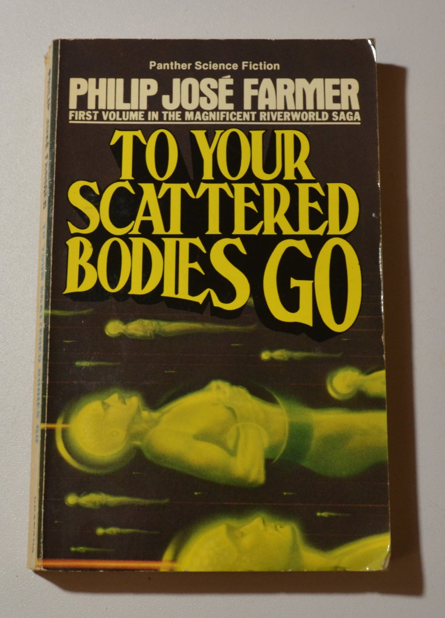 To Your Scattered Bodies Go - Riverworld Saga book 1